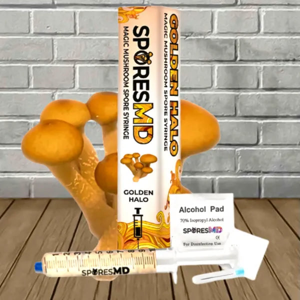 SporesMD Golden Halo Mushroom Spore 10ml Best Price