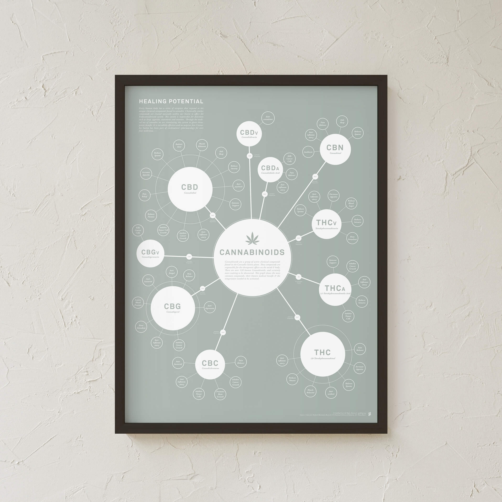 GoldLeaf Tabla de Cannabinoides Impresión en Español