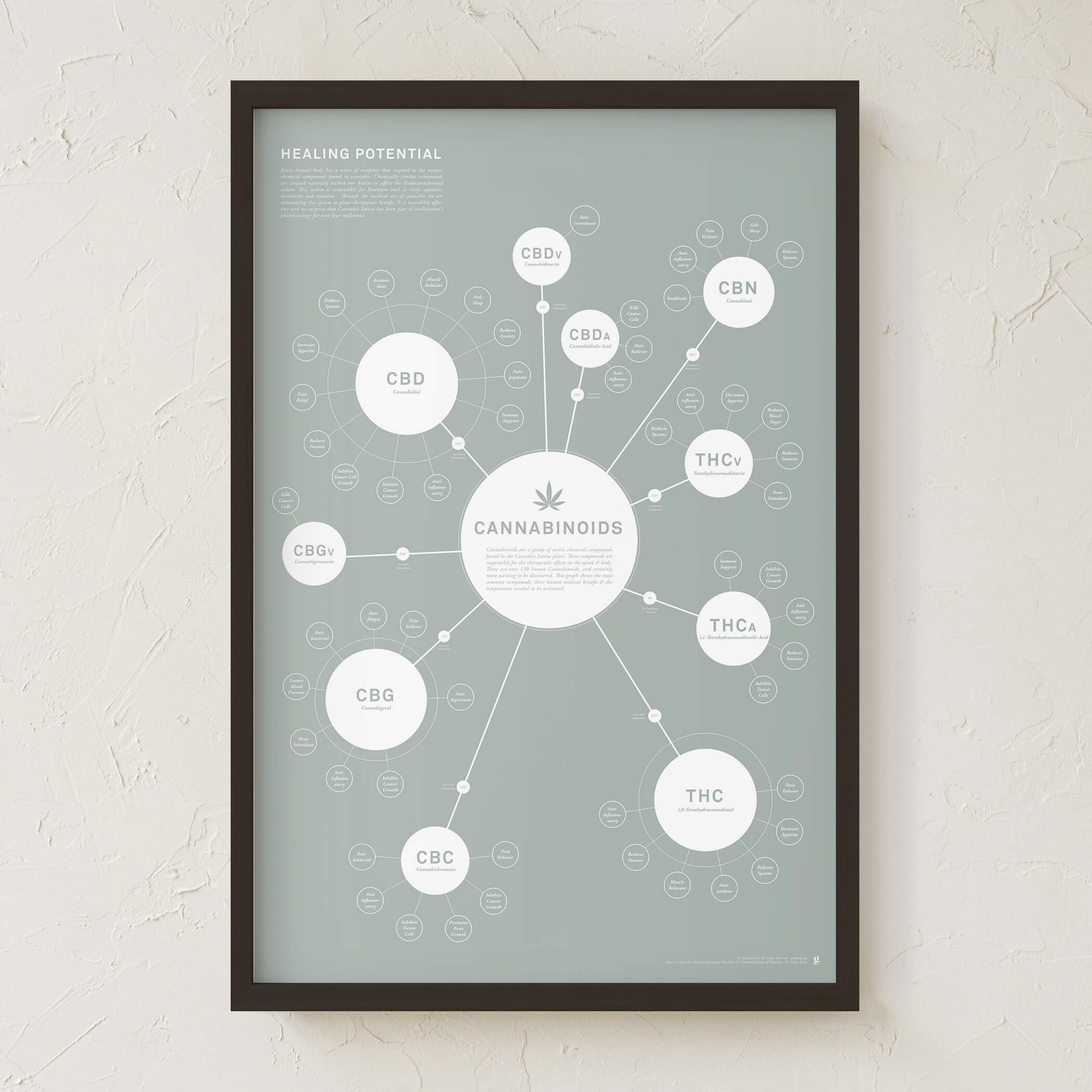 GoldLeaf Tabla de Cannabinoides Impresión en Español