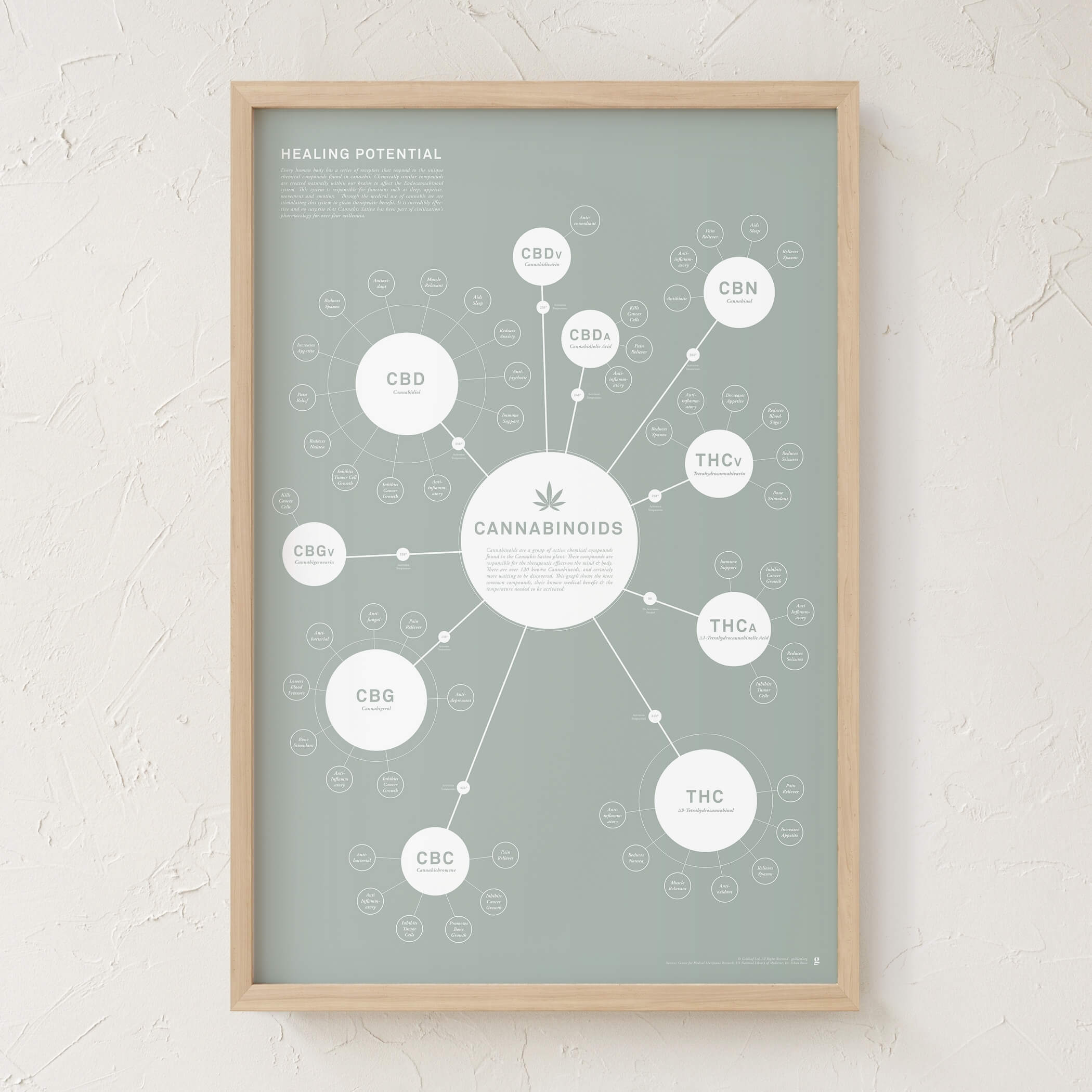 GoldLeaf Tabla de Cannabinoides Impresión en Español