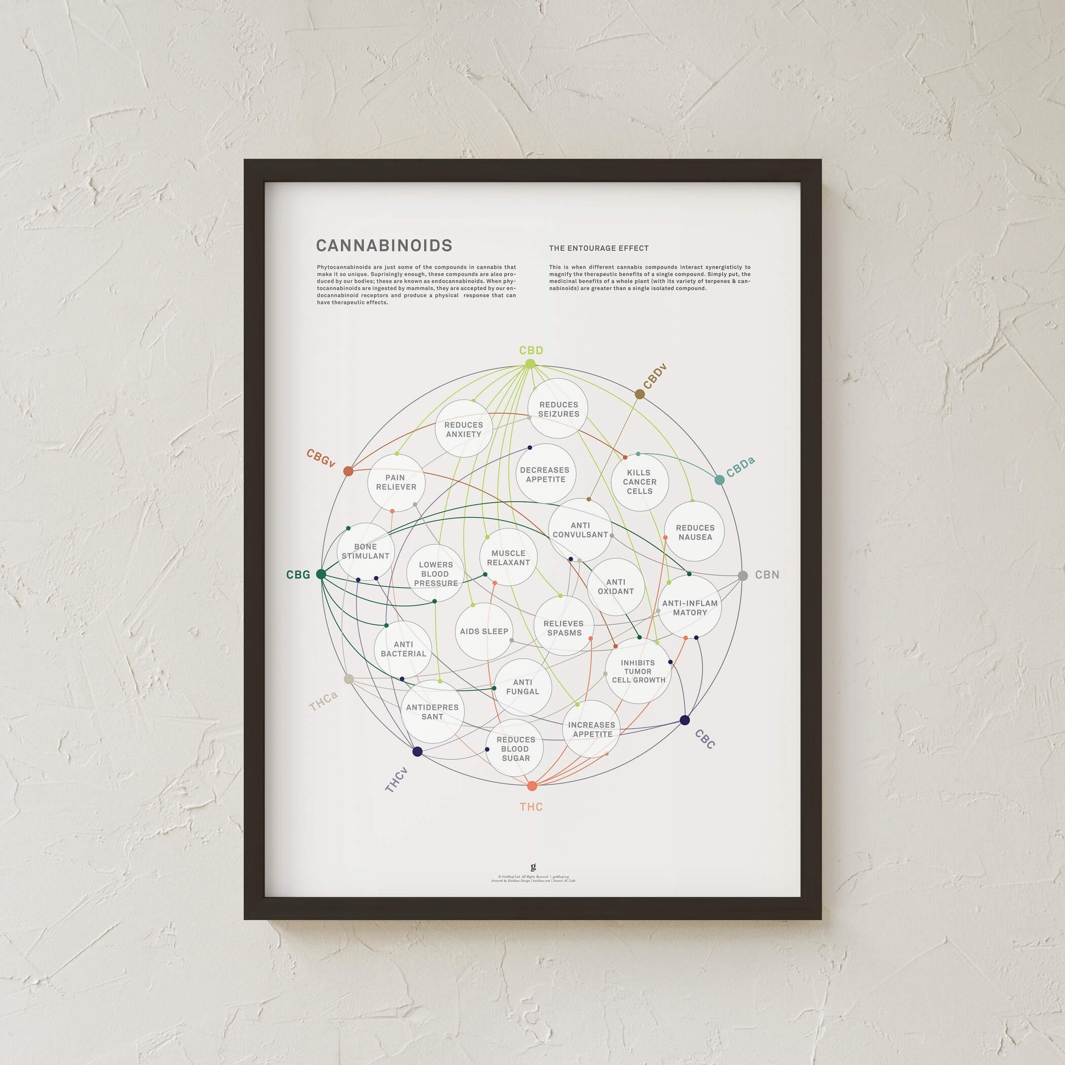 GoldLeaf La Matriz de Salud Cannabinoides Impresíon