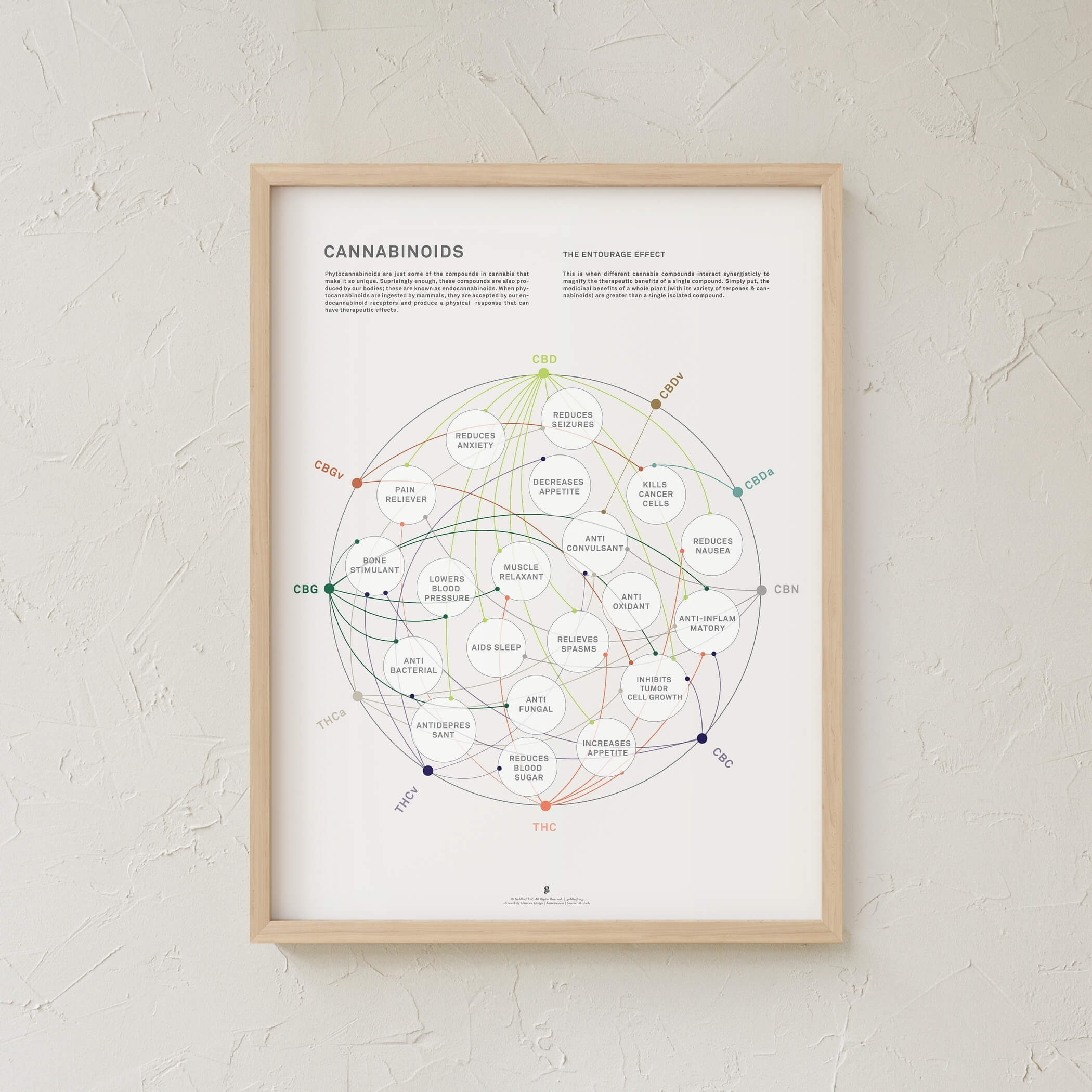 GoldLeaf La Matriz de Salud Cannabinoides Impresíon