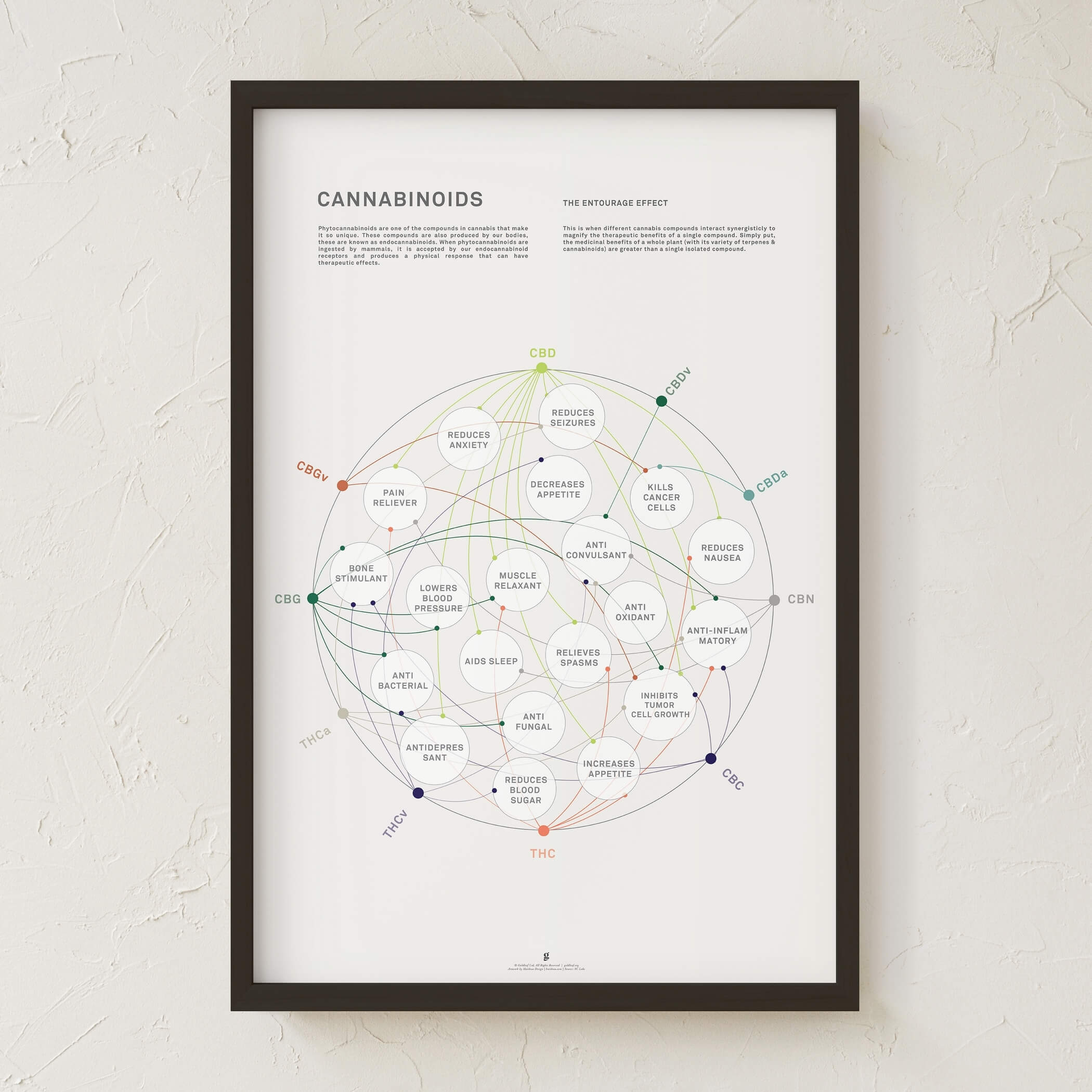GoldLeaf La Matriz de Salud Cannabinoides Impresíon