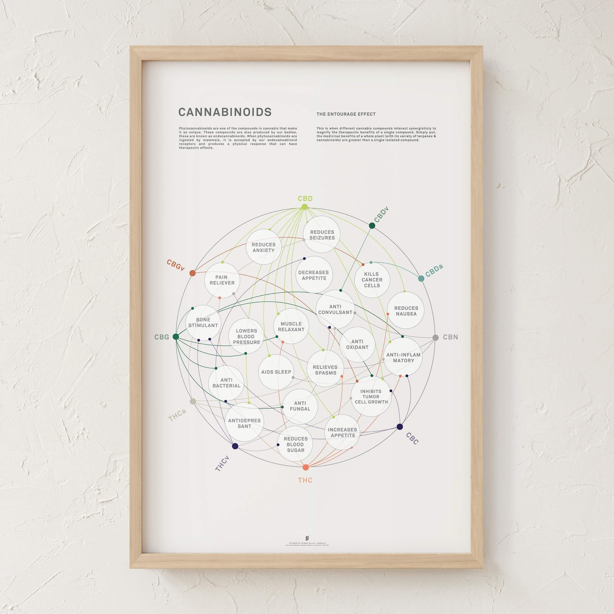 GoldLeaf La Matriz de Salud Cannabinoides Impresíon