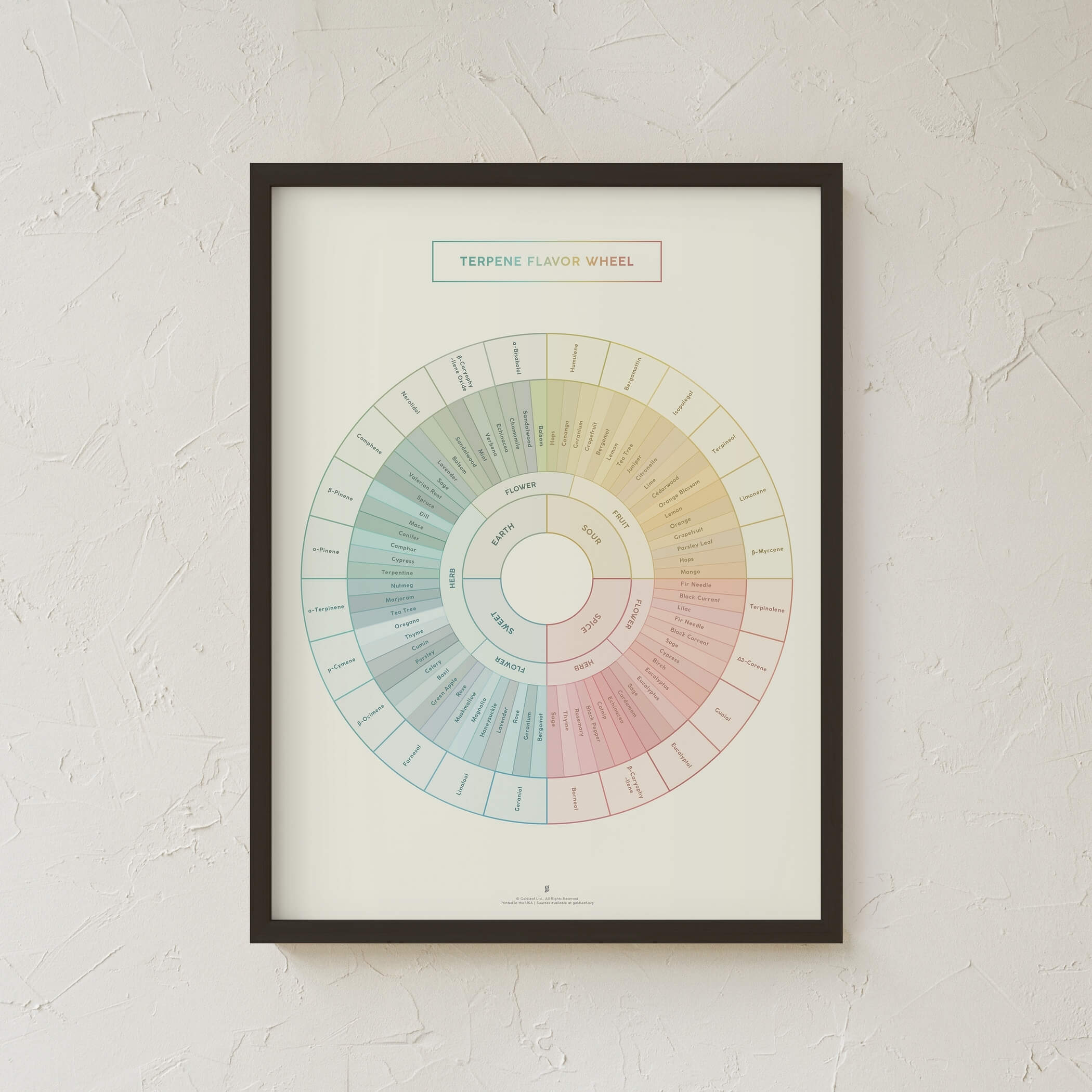 GoldLeaf Diagrama de la Rueda de Sabores y Terpenos Impresión