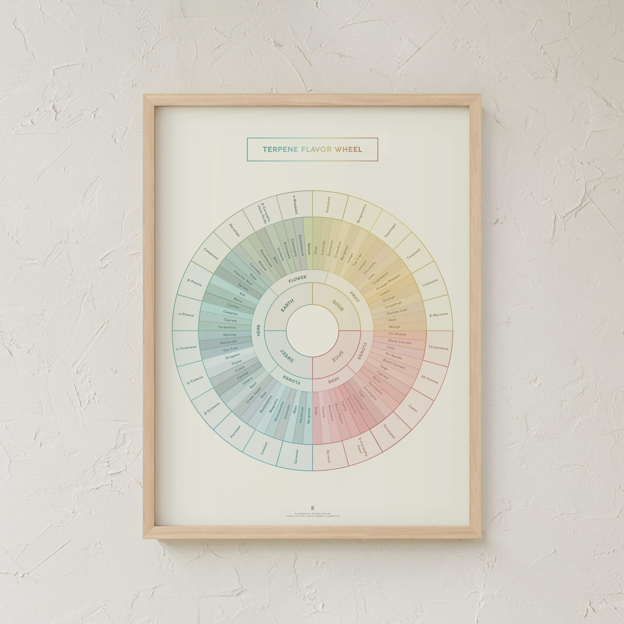 GoldLeaf Diagrama de la Rueda de Sabores y Terpenos Impresión