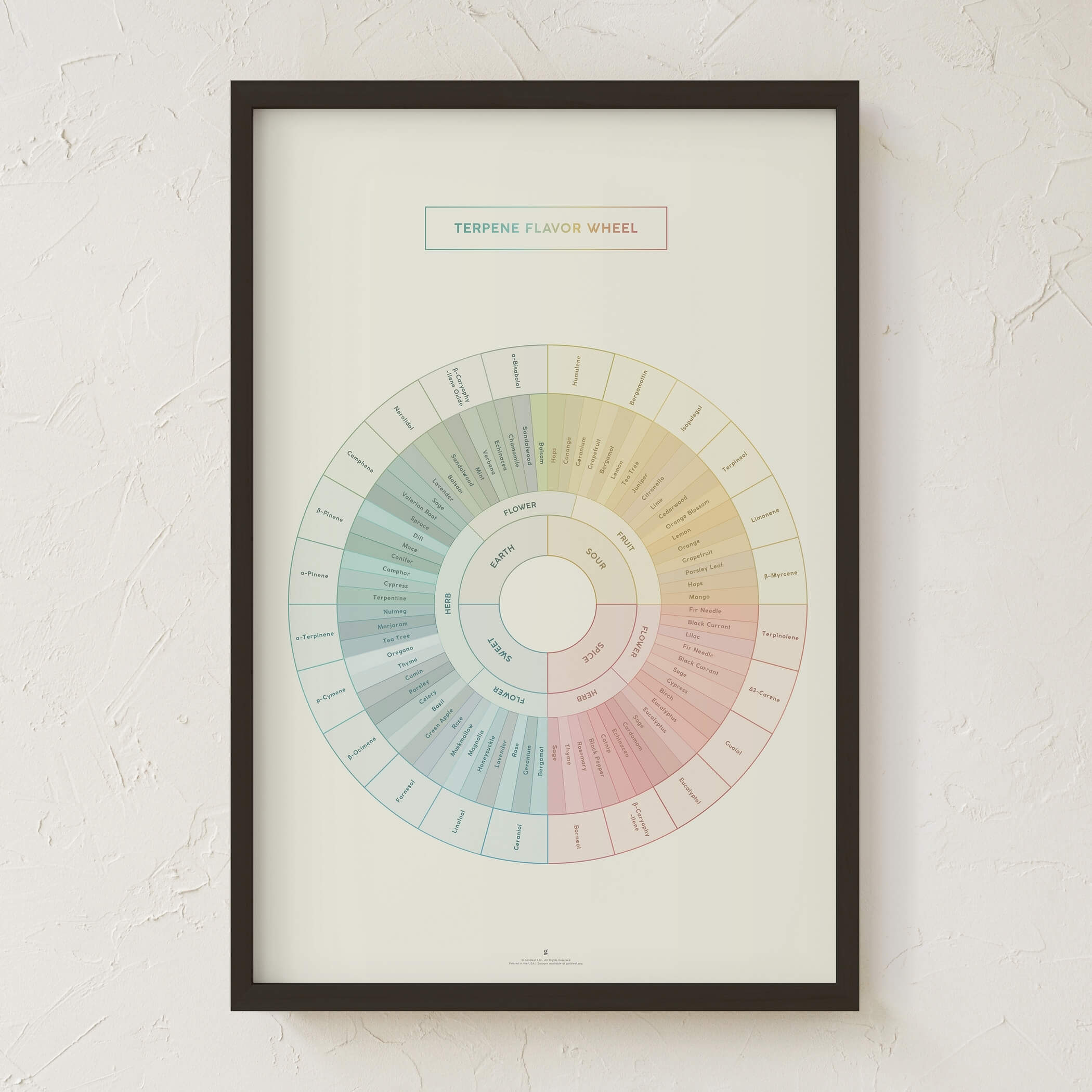 GoldLeaf Diagrama de la Rueda de Sabores y Terpenos Impresión