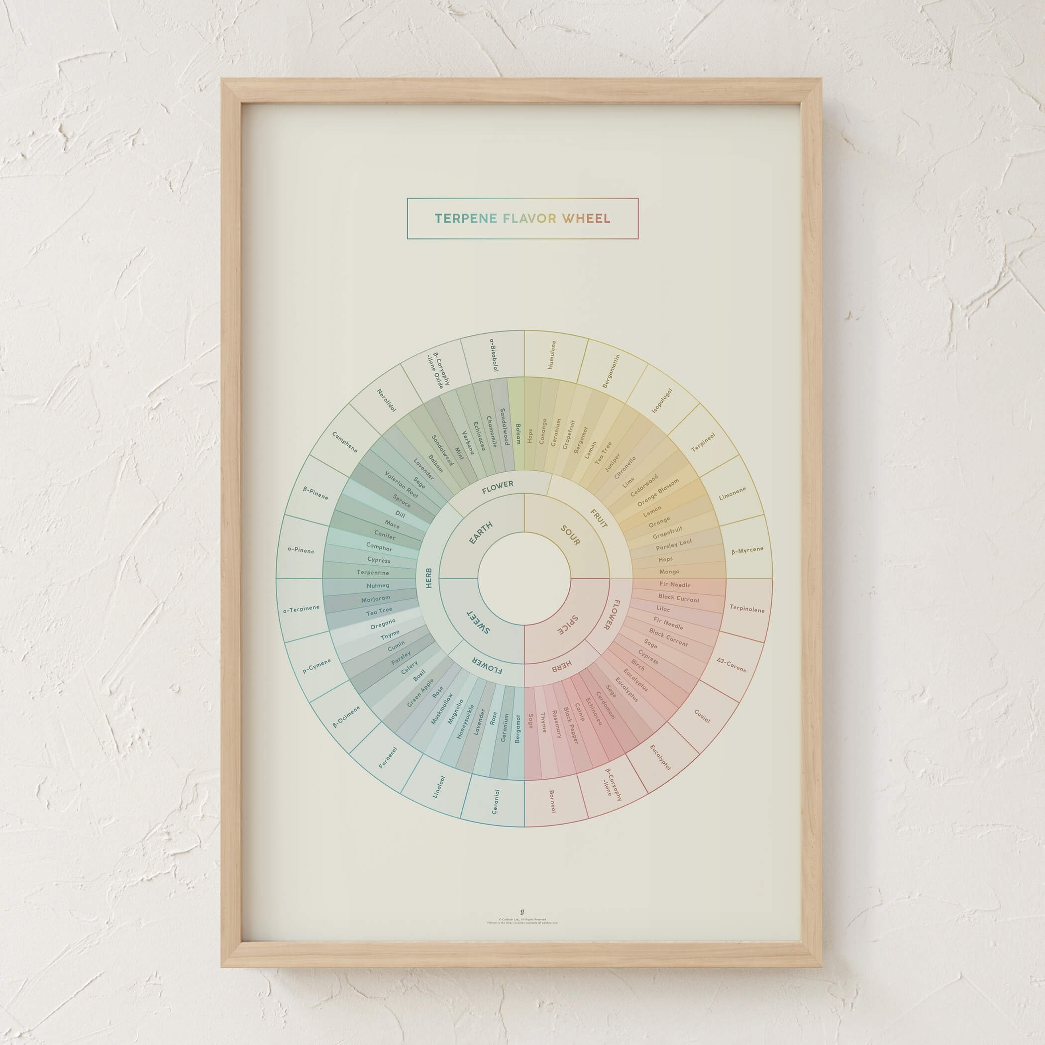 GoldLeaf Diagrama de la Rueda de Sabores y Terpenos Impresión