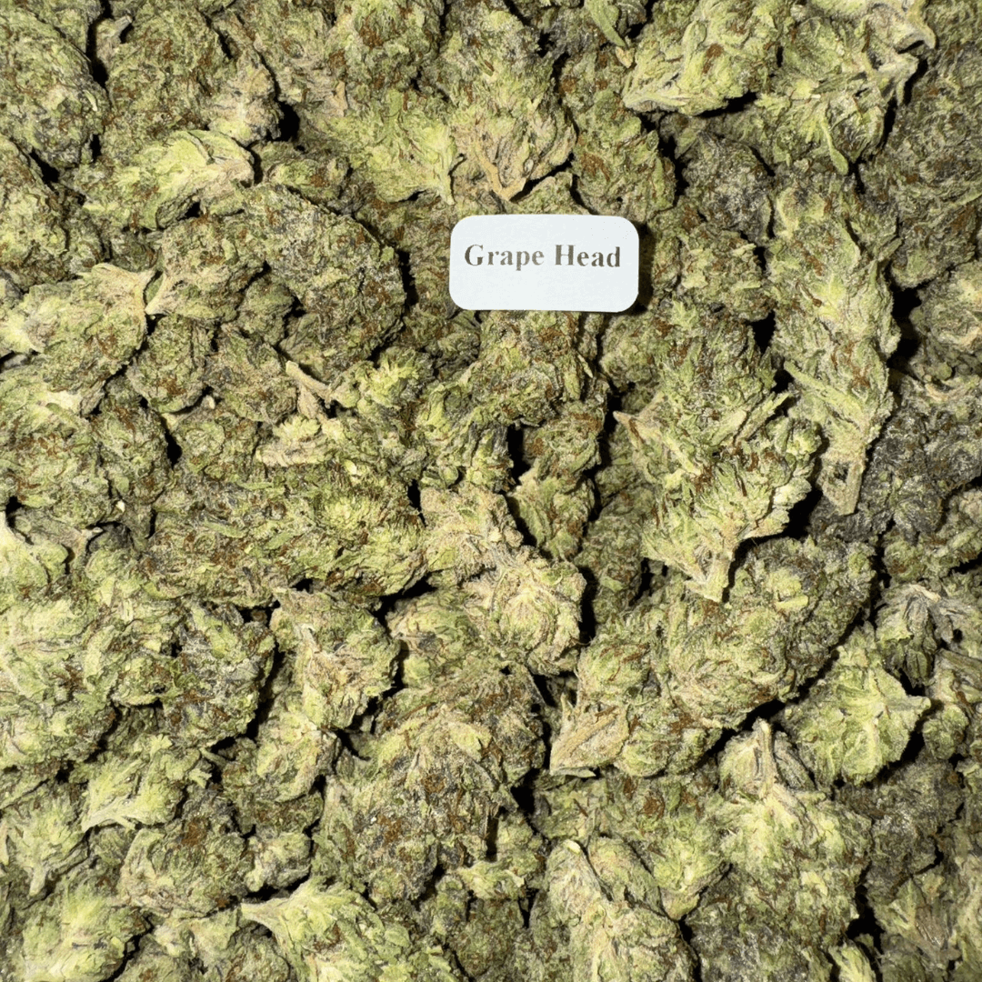 Bloomz THCA Flower Best Price