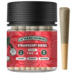 Hidden Hills Lil Hash Homies THCa Pre-Rolls 10ct 10g Best Sales Price - Pre Rolls