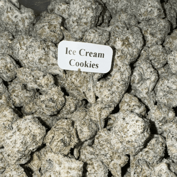 Bloomz THCA Snowballs – Gold Line Best Price