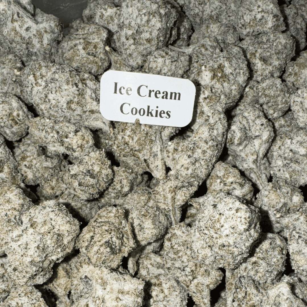 Bloomz THCA Snowballs – Gold Line Best Price