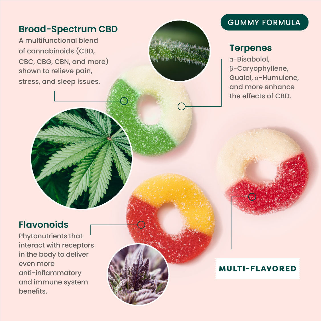 R&R CBD Multifunctional THC-Free CBD Gummies