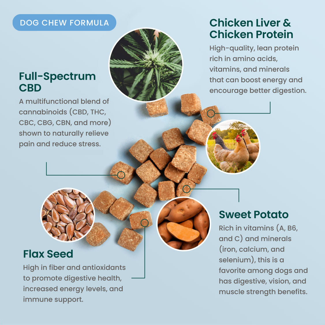 R&R CBD Multifunctional CBD Dog Chews