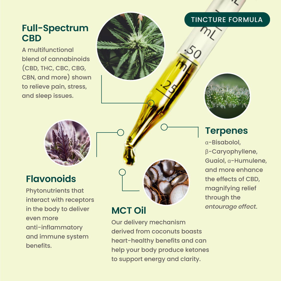 R&R CBD Multifunctional CBD Pet Tincture