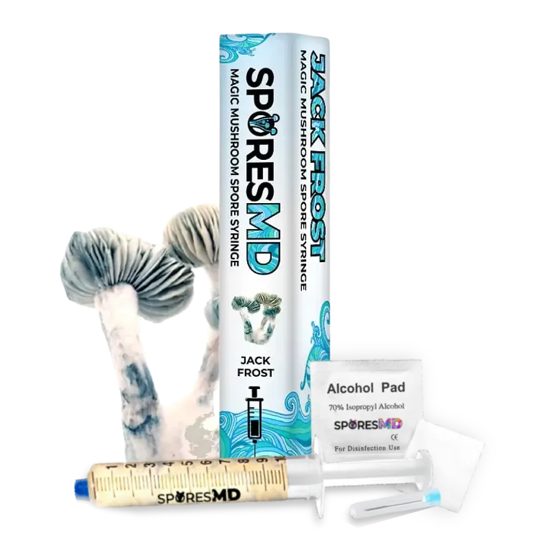 SporesMD Jack Frost Mushroom Liquid Culture (10ml)