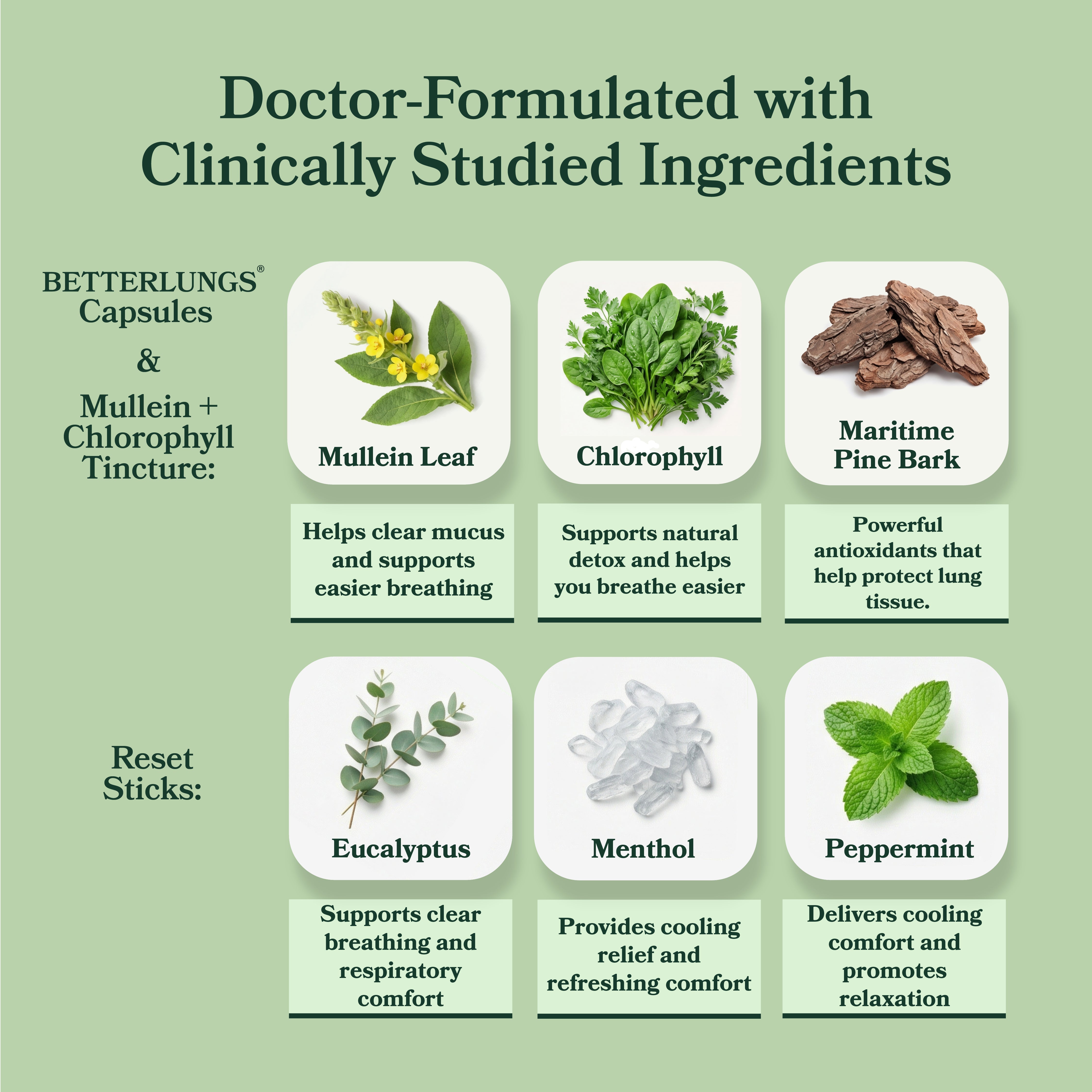 BetterBrand Lung Detox Protocol
