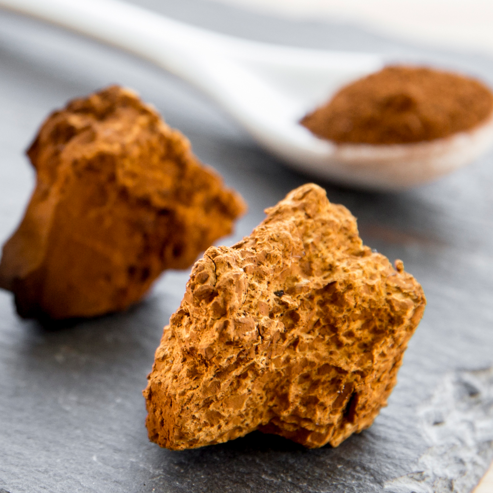Charlotte's Web Muscle Restore Mushroom Gummies