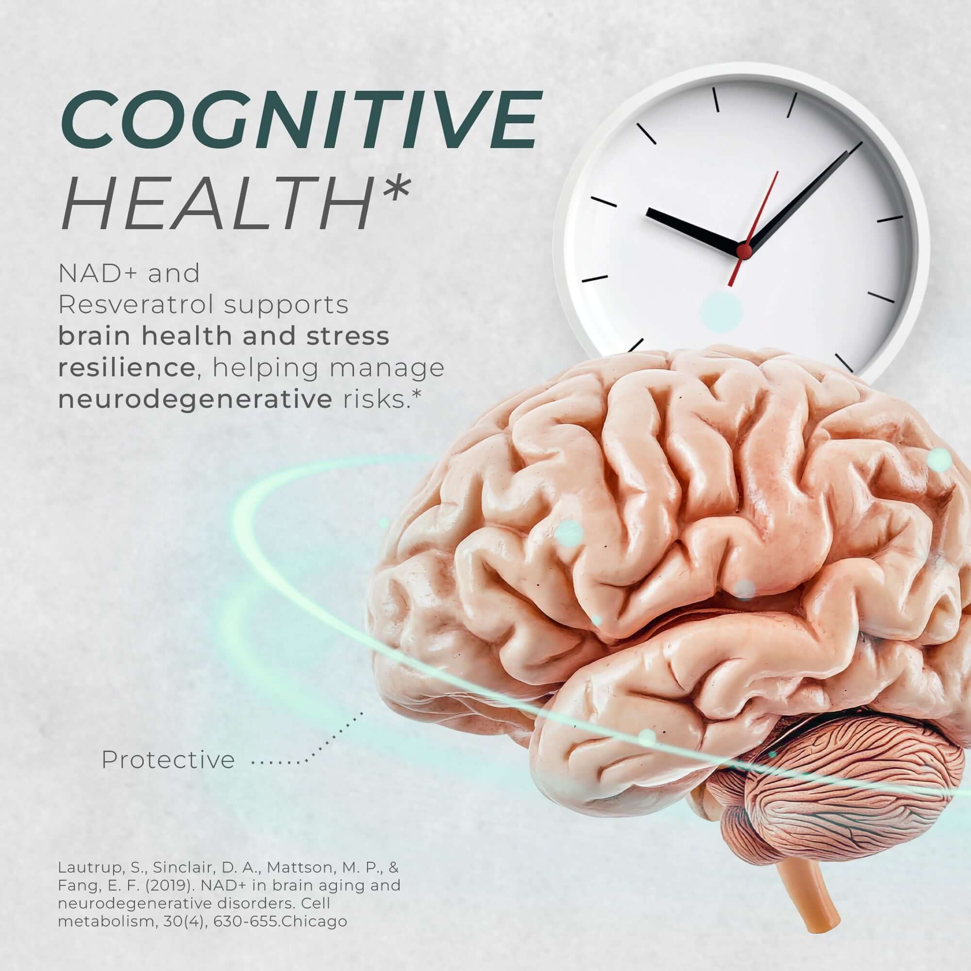 Neurogan Health NAD + Resveratrol Capsules