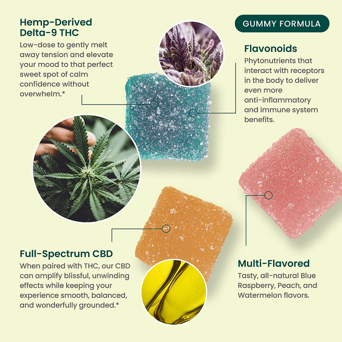 R&R CBD THC Gummies