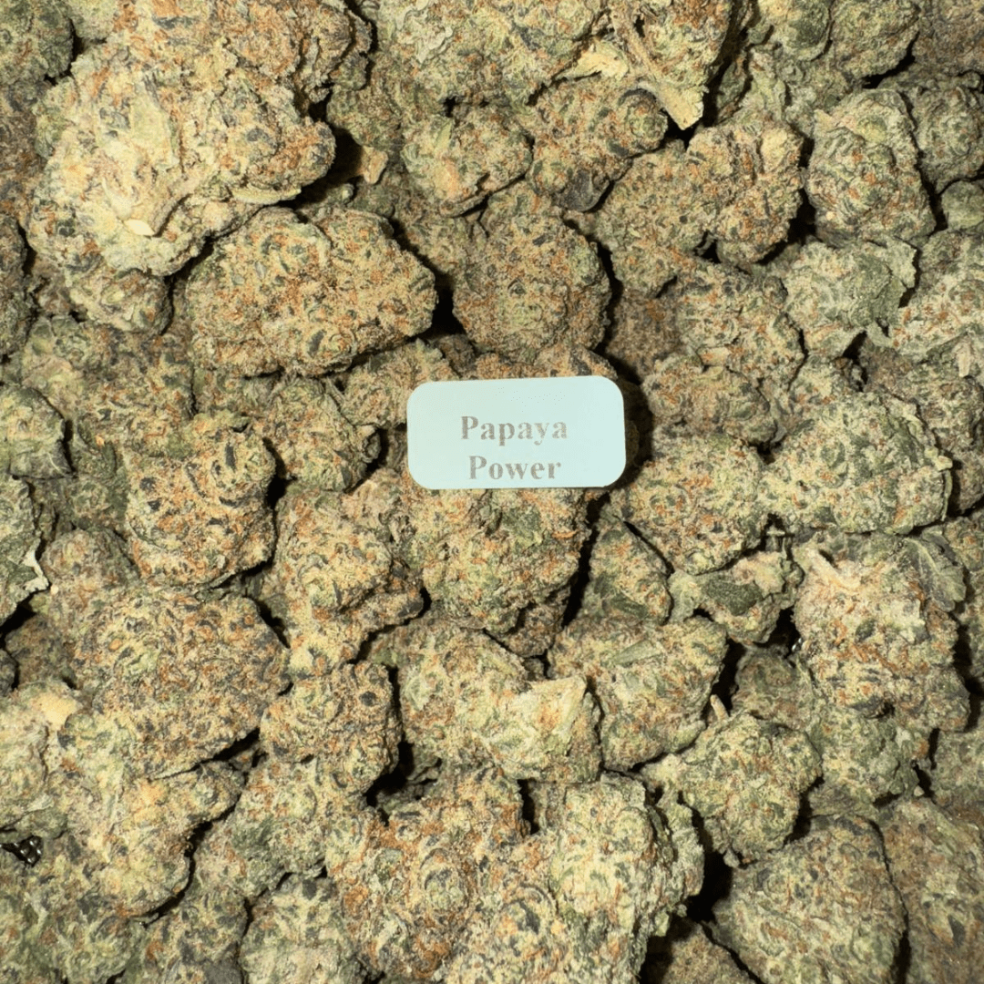 Bloomz THCA Flower – Platinum Line Best Price