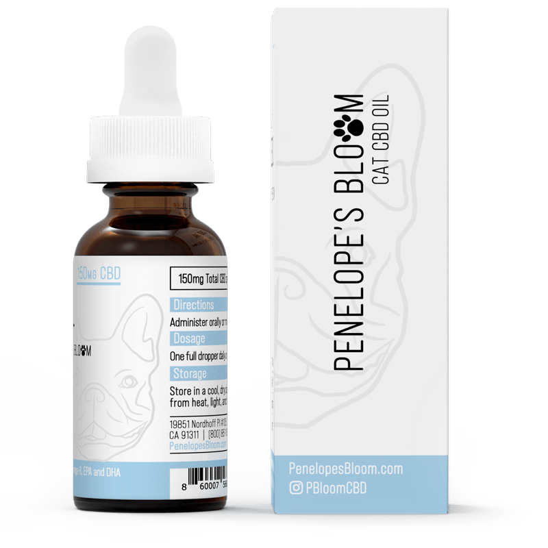 CBD Oil For Cats