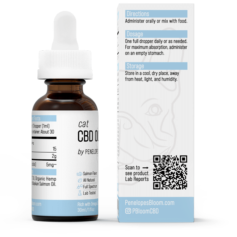 CBD Oil For Cats