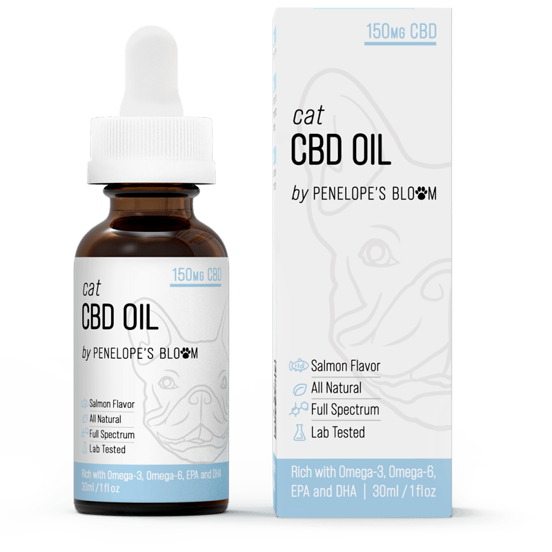 CBD Oil For Cats