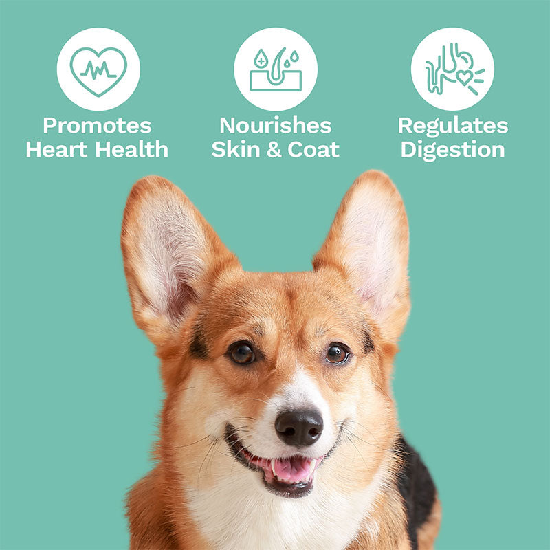 CBD Dog Treats for Heart+ Immunity-Large Dogs – 600mg