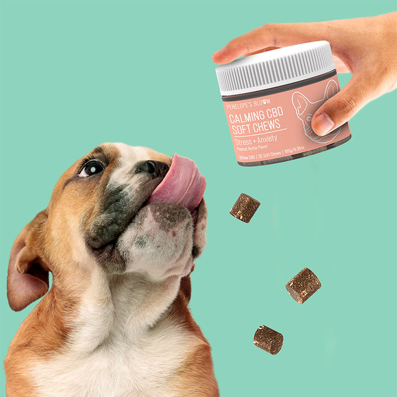 CBD Soft Chews For Stress+Anxiety – Small To Medium Dogs – 300mg