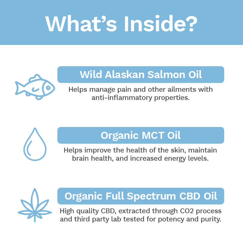 CBD Oil For Cats