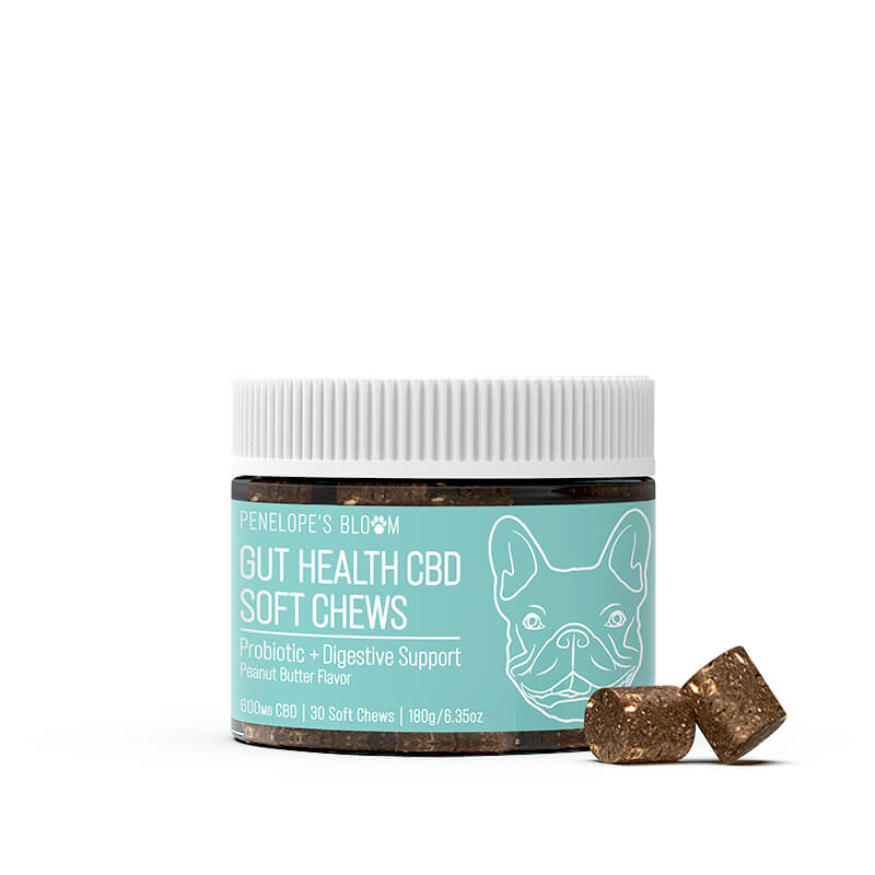 CBD Soft Chews For Digestive Support + Probiotic  – Medium to Large Dogs – 600mg