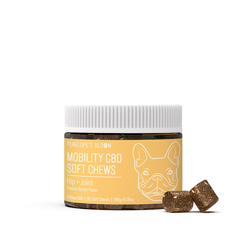 CBD Soft Chews For Joint + Mobility – Medium To Large Dogs – 600mg