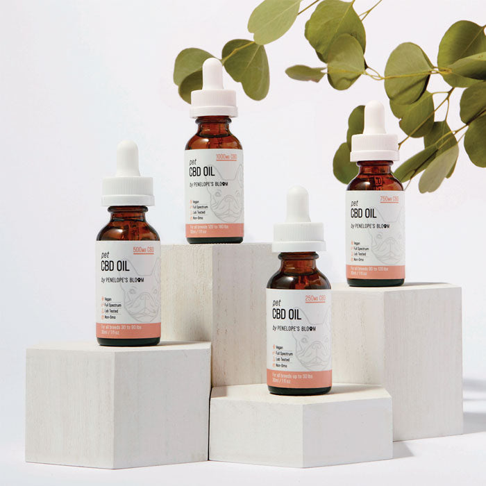 Penelope's Bloom CBD Oil For Dogs 250mg – 1000mg