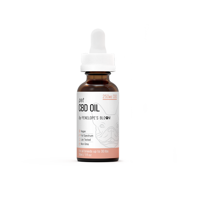 CBD Oil For Dogs 250mg – 1000mg