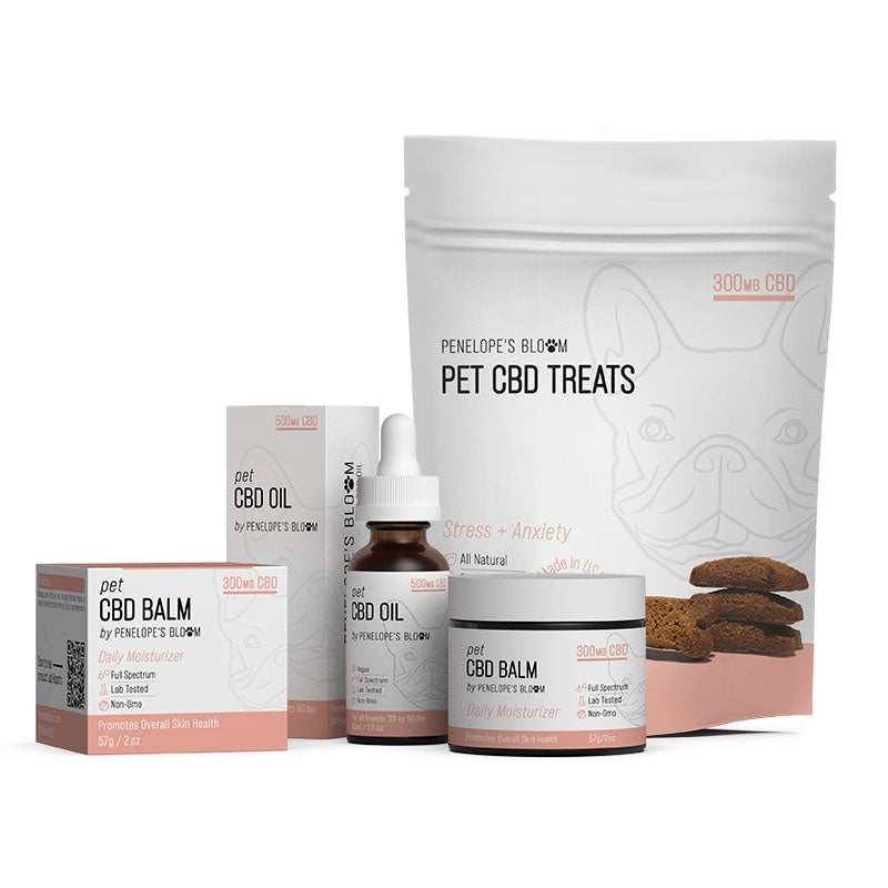 CBD for Dogs – Stress + Anxiety Bundle