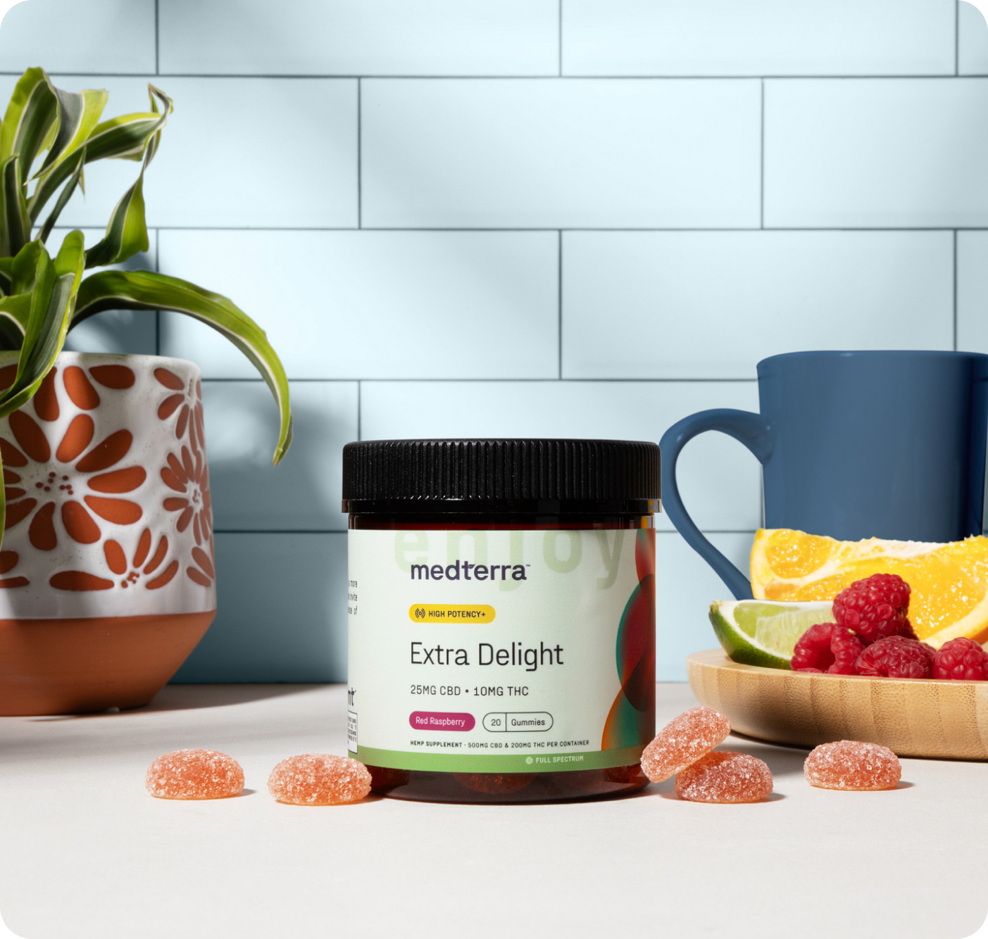 Medterra Extra Delight 10mg THC Gummies