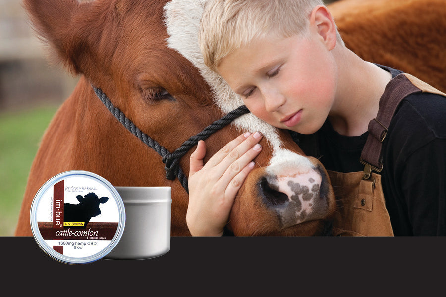 Imbue CBD Salve of Full Spectrum of Hemp Extract for Farm and Ranch Best Price