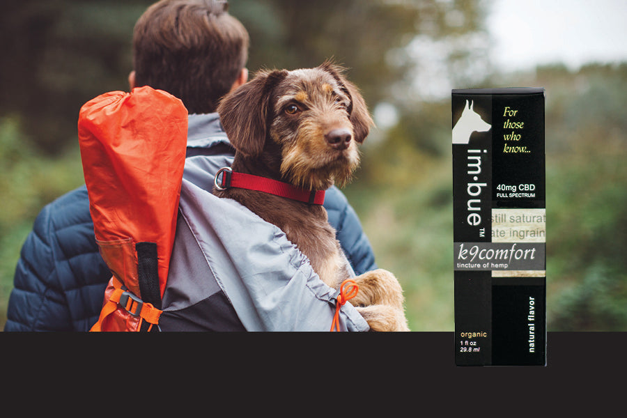 Imbue CBD Tinctures of Full Spectrum Hemp Extract for Pets Best Price