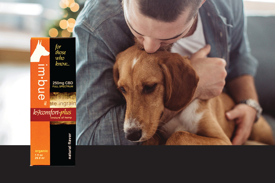 Imbue CBD Tinctures of Full Spectrum Hemp Extract for Pets Best Price