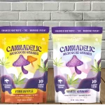 Purple Cannadelic Magic Mushroom Microdose Gummies 6000mg Best Price