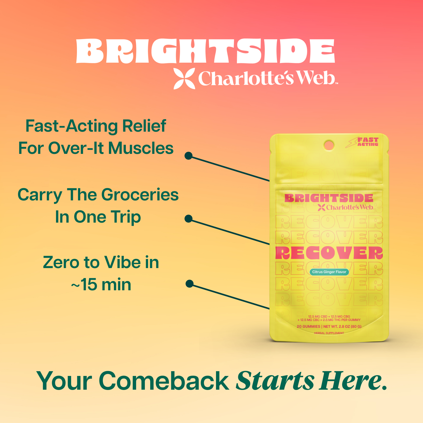 Charlotte's Web Recover THC Gummies Bundle