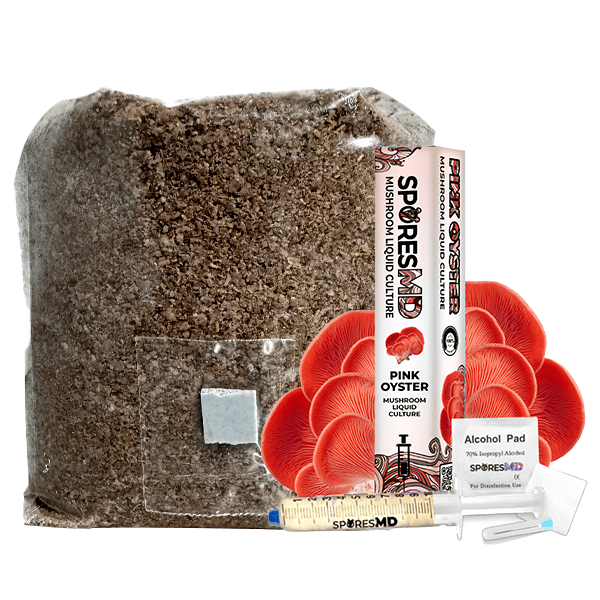 SporesMD Functional Mushroom Kit – Pink Oyster