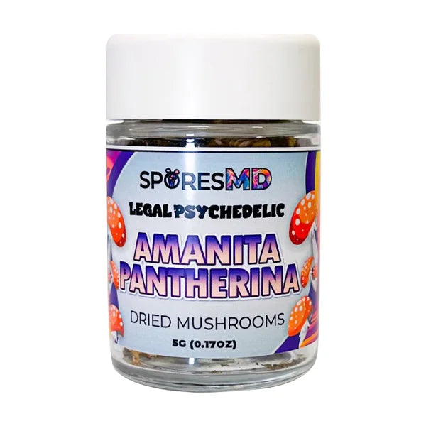 SporesMD Dried Microdose Mushrooms - 5g Best Price