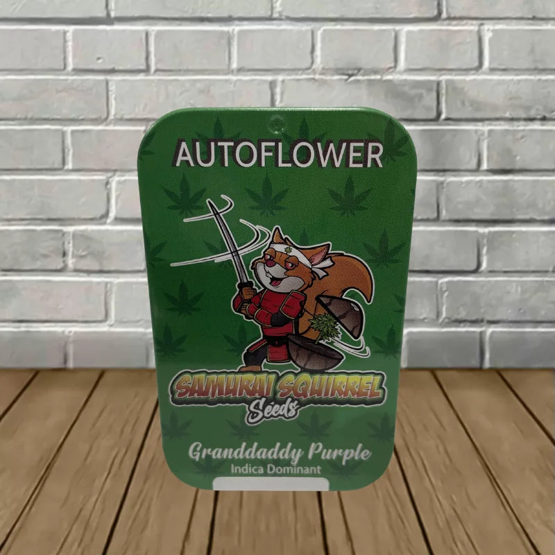 Samurai Squirrel Seeds Autoflowering Cannabis Seeds 5ct Best Price