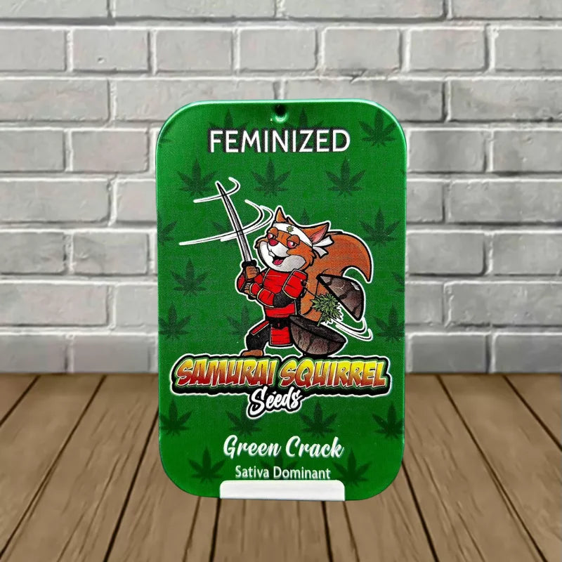 Samurai Squirrel Seeds Feminized Cannabis Seeds 5ct Best Price