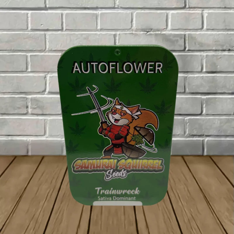 Samurai Squirrel Seeds Autoflowering Cannabis Seeds 5ct Best Price