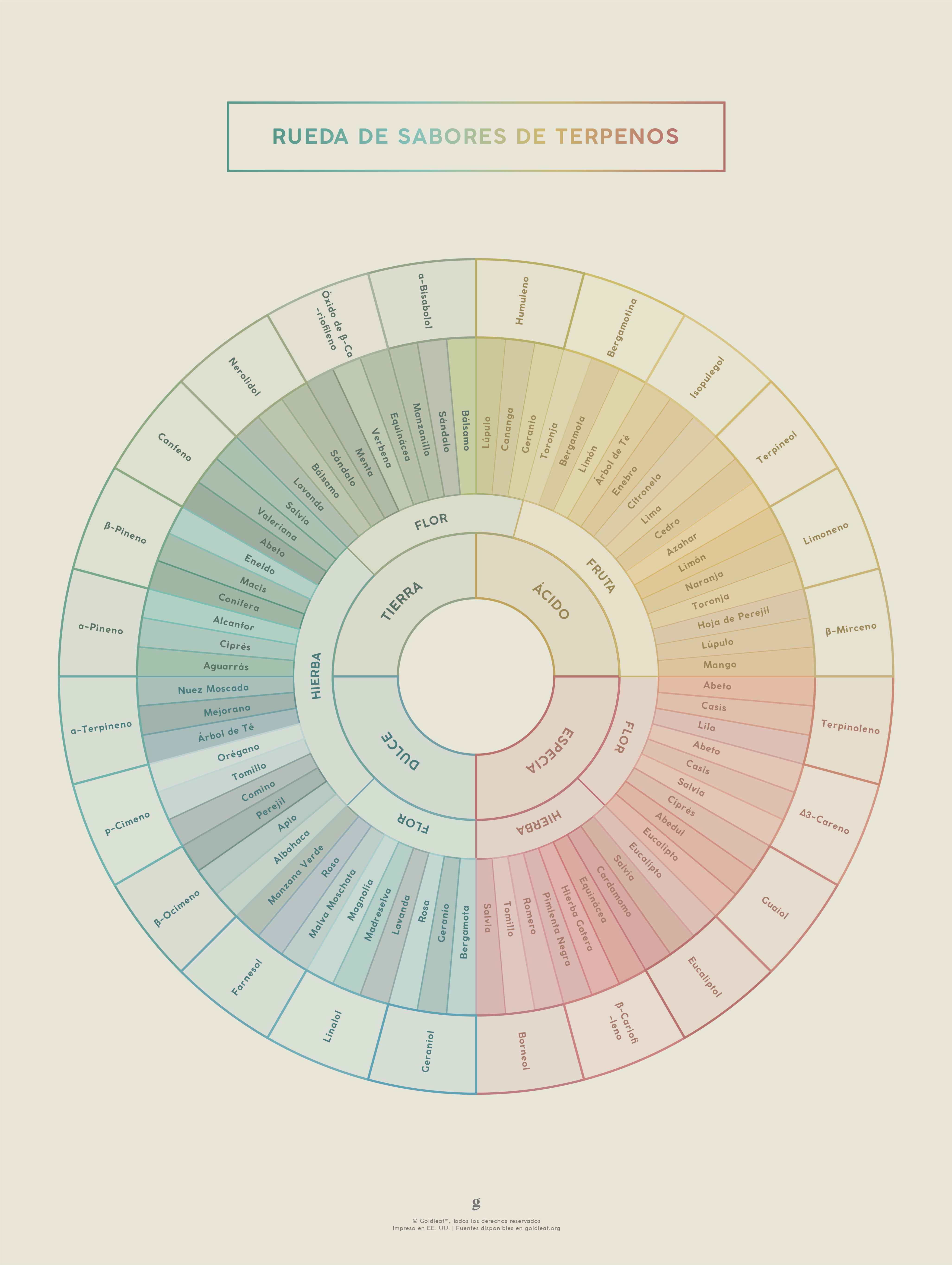 GoldLeaf Diagrama de la Rueda de Sabores y Terpenos Impresión