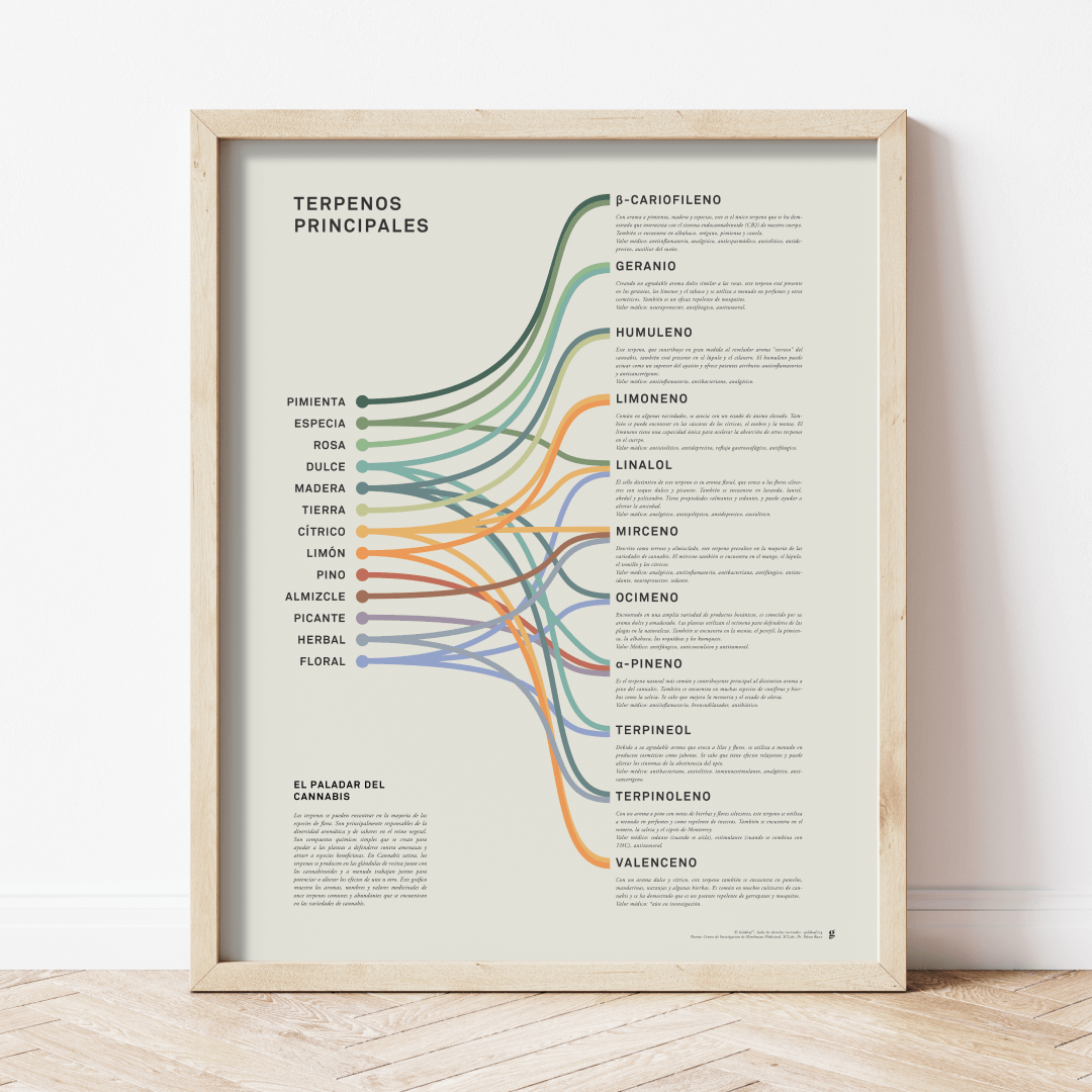 GoldLeaf Impresión Infográfica de Terpenos