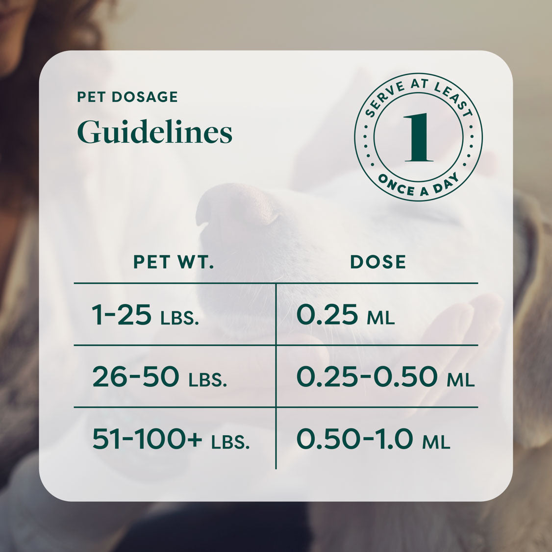 R&R CBD Multifunctional CBD Pet Tincture